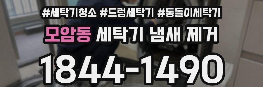 모암동 세탁기 냄새 제거