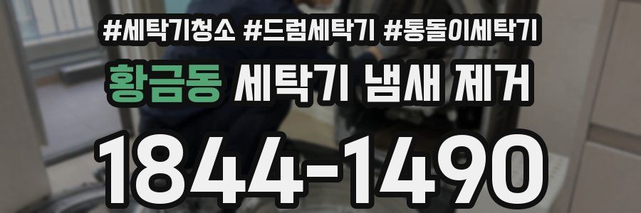 황금동 세탁기 냄새 제거