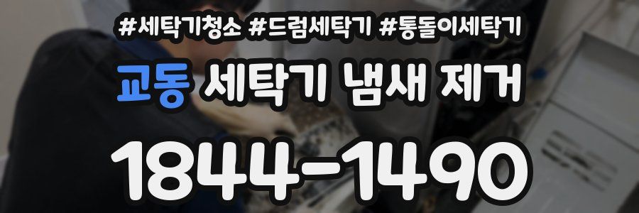교동 세탁기 냄새 제거