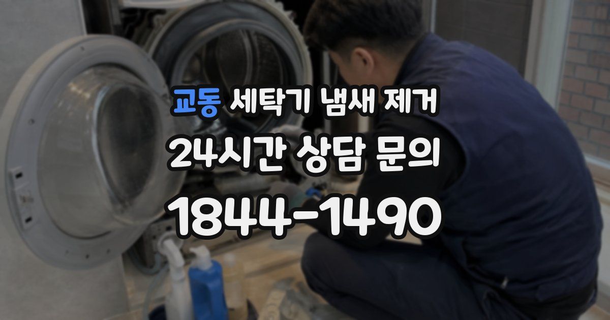 교동 세탁기 냄새 제거