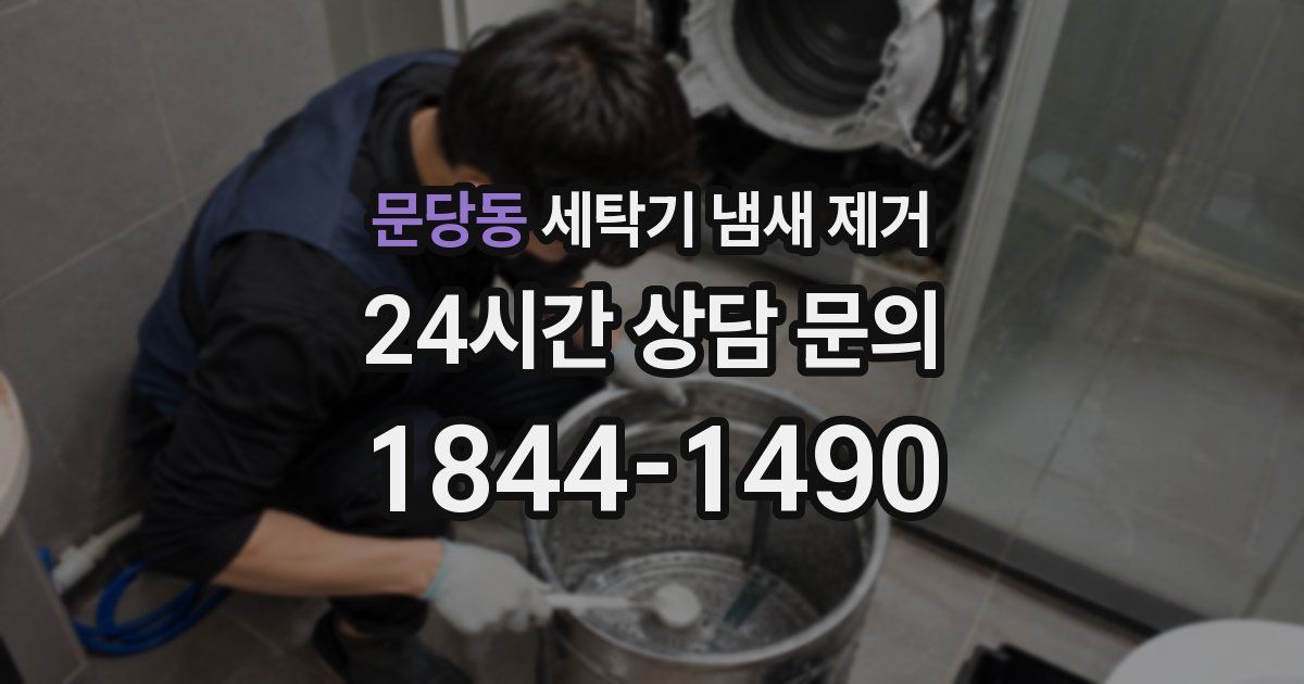 문당동 세탁기 냄새 제거