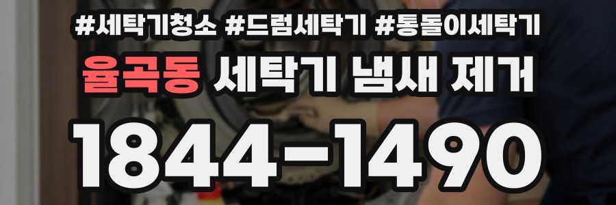 율곡동 세탁기 냄새 제거
