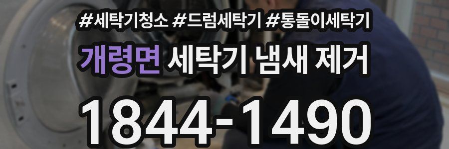 개령면 세탁기 냄새 제거