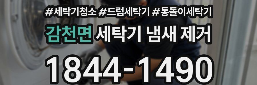 감천면 세탁기 냄새 제거