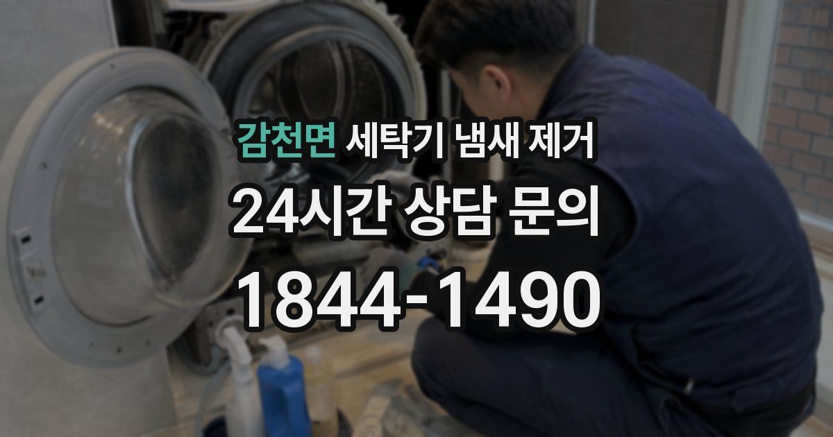 감천면 세탁기 냄새 제거