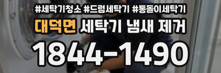 대덕면 세탁기 냄새 제거
