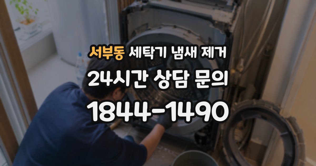 서부동 세탁기 냄새 제거