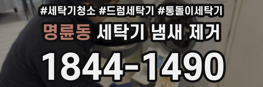 명륜동 세탁기 냄새 제거