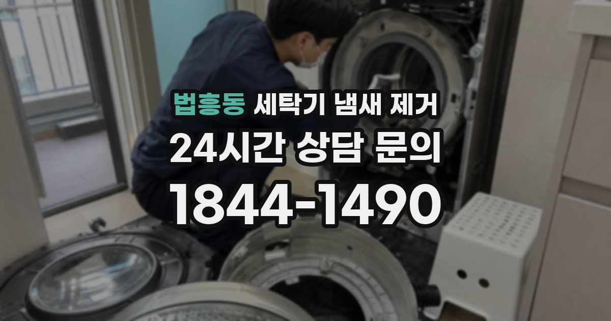 법흥동 세탁기 냄새 제거