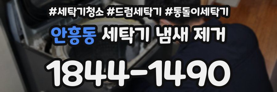 안흥동 세탁기 냄새 제거