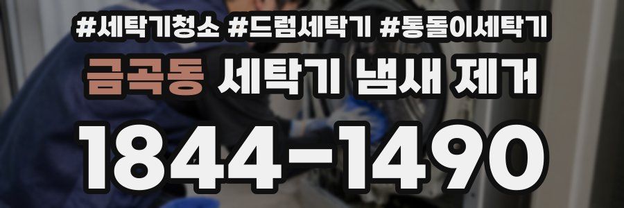 금곡동 세탁기 냄새 제거