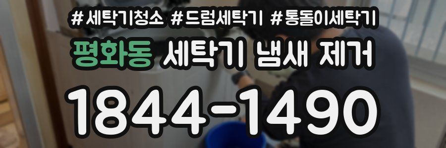 평화동 세탁기 냄새 제거