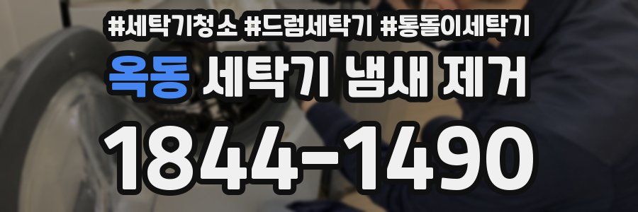 옥동 세탁기 냄새 제거
