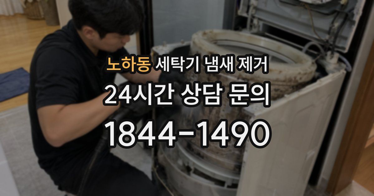 노하동 세탁기 냄새 제거