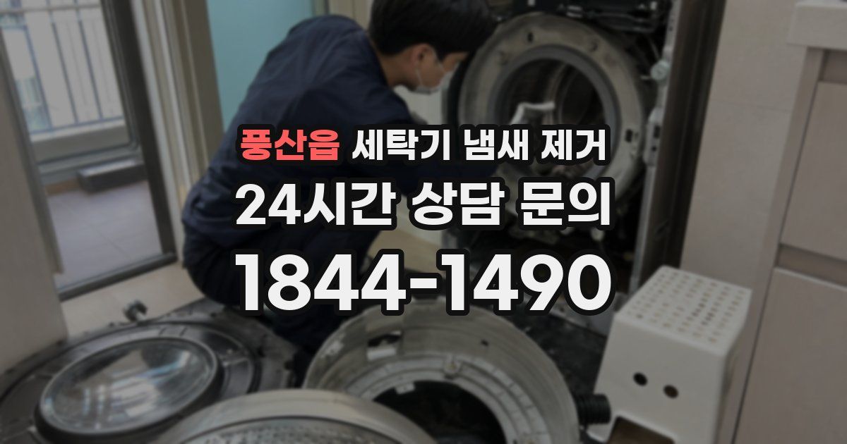 풍산읍 세탁기 냄새 제거