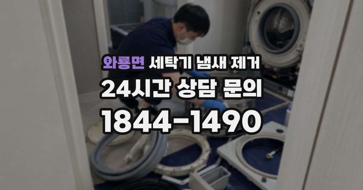 와룡면 세탁기 냄새 제거
