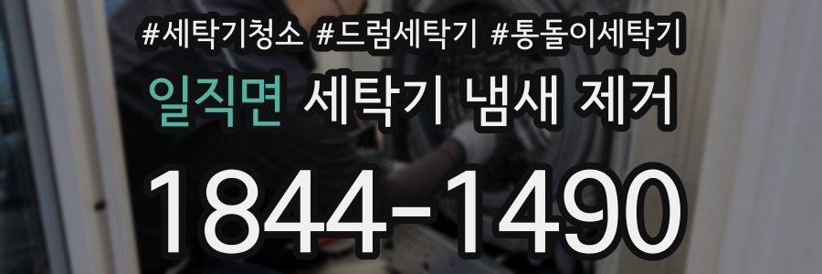 일직면 세탁기 냄새 제거