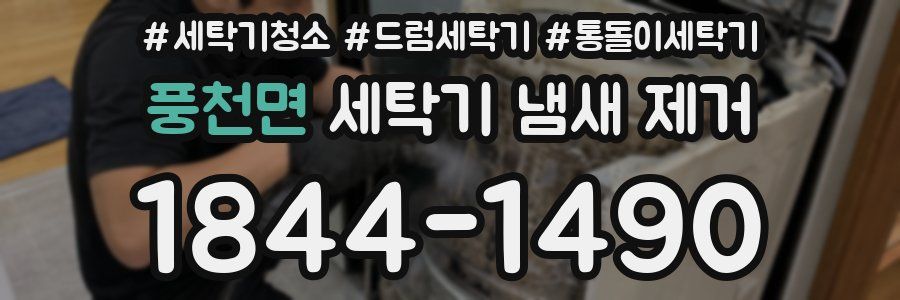 풍천면 세탁기 냄새 제거