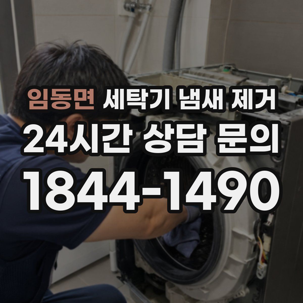 임동면 세탁기 냄새 제거