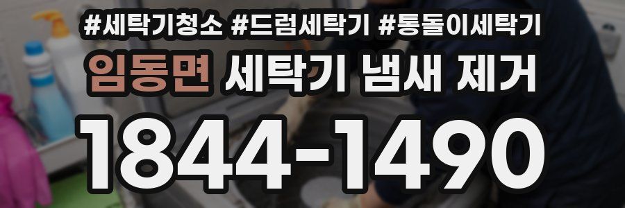 임동면 세탁기 냄새 제거