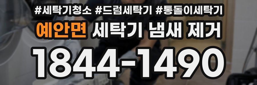 예안면 세탁기 냄새 제거