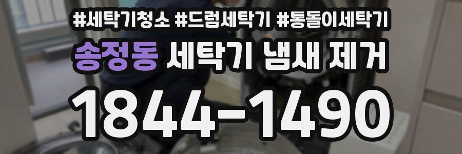 송정동 세탁기 냄새 제거