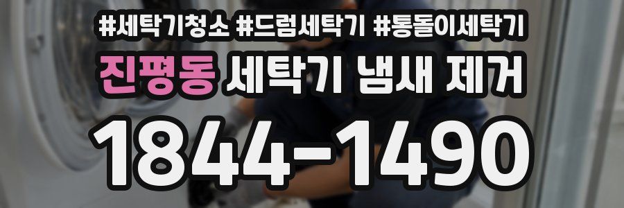 진평동 세탁기 냄새 제거