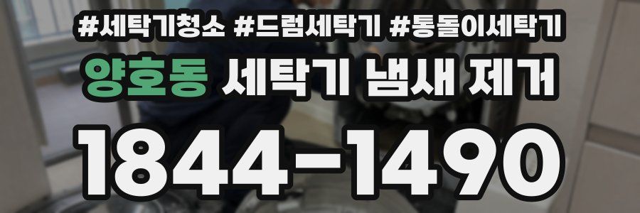양호동 세탁기 냄새 제거