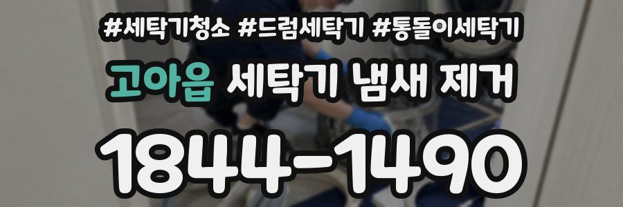 고아읍 세탁기 냄새 제거