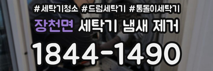 장천면 세탁기 냄새 제거