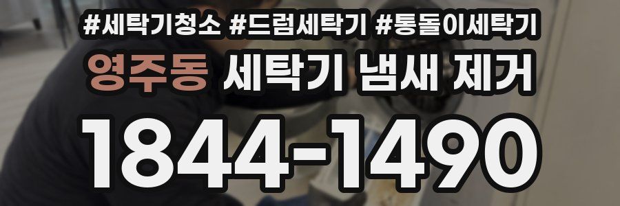 영주동 세탁기 냄새 제거