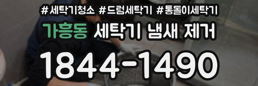 가흥동 세탁기 냄새 제거