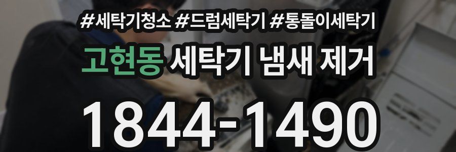 고현동 세탁기 냄새 제거