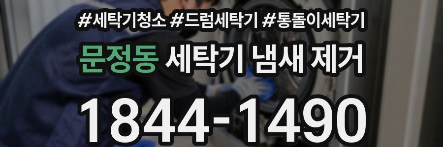 문정동 세탁기 냄새 제거