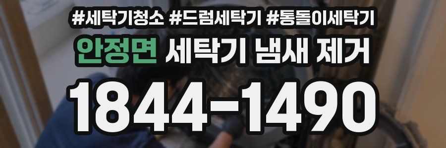 안정면 세탁기 냄새 제거