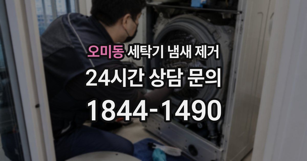 오미동 세탁기 냄새 제거