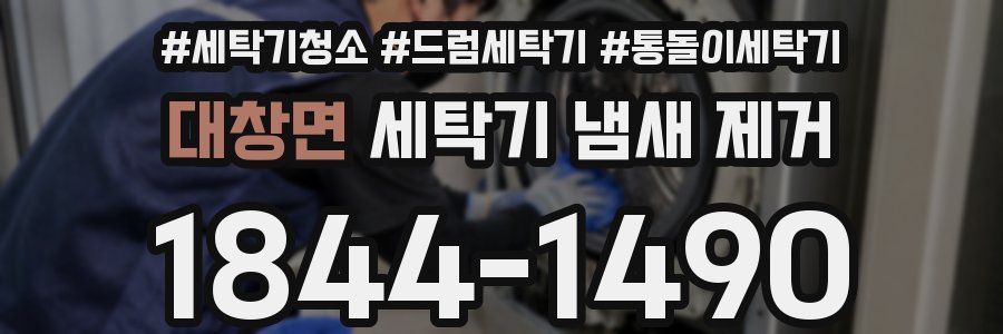대창면 세탁기 냄새 제거