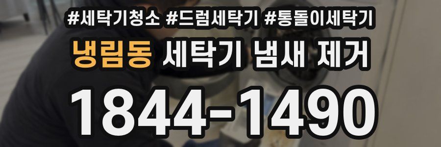 냉림동 세탁기 냄새 제거
