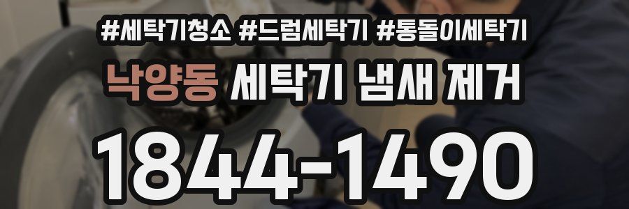 낙양동 세탁기 냄새 제거
