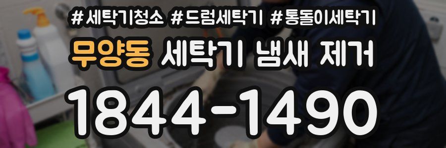 무양동 세탁기 냄새 제거
