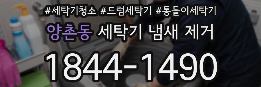 양촌동 세탁기 냄새 제거