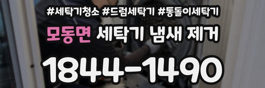 모동면 세탁기 냄새 제거