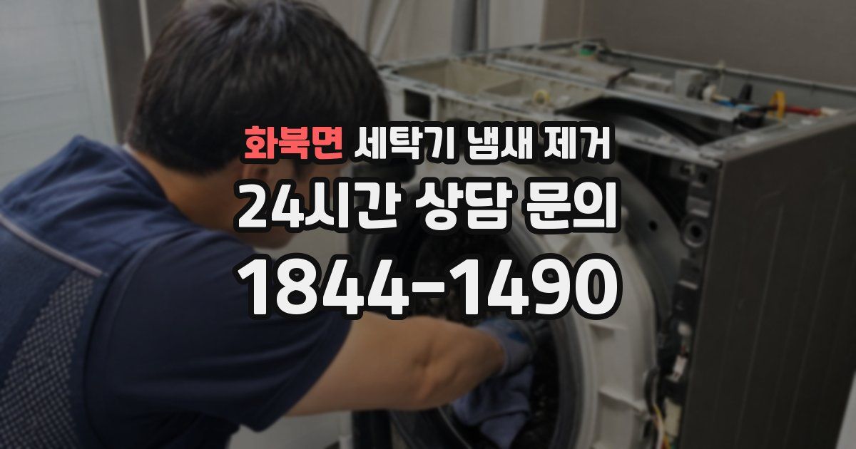 화북면 세탁기 냄새 제거