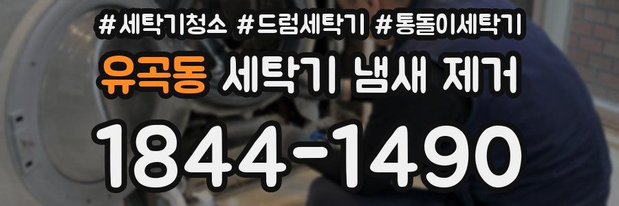 유곡동 세탁기 냄새 제거