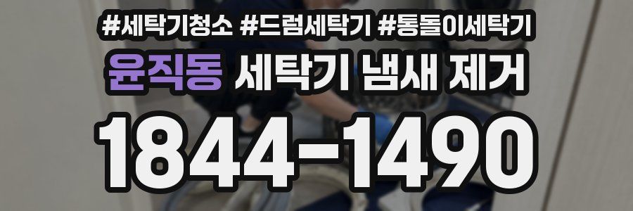 윤직동 세탁기 냄새 제거