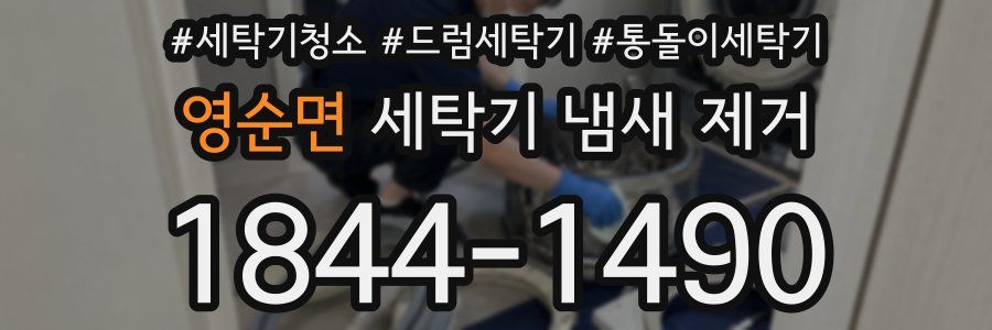영순면 세탁기 냄새 제거