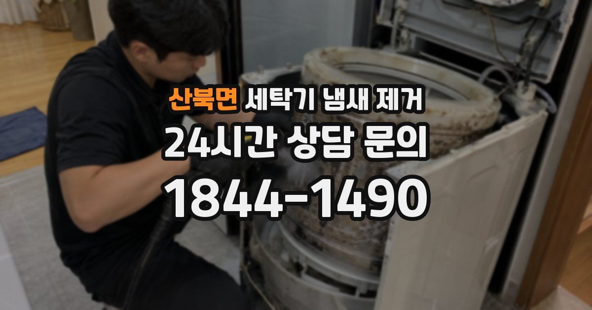 산북면 세탁기 냄새 제거