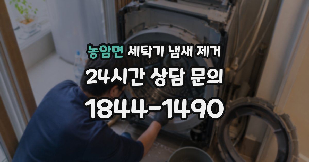 농암면 세탁기 냄새 제거