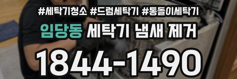 임당동 세탁기 냄새 제거