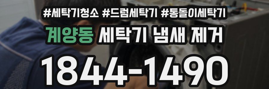 계양동 세탁기 냄새 제거